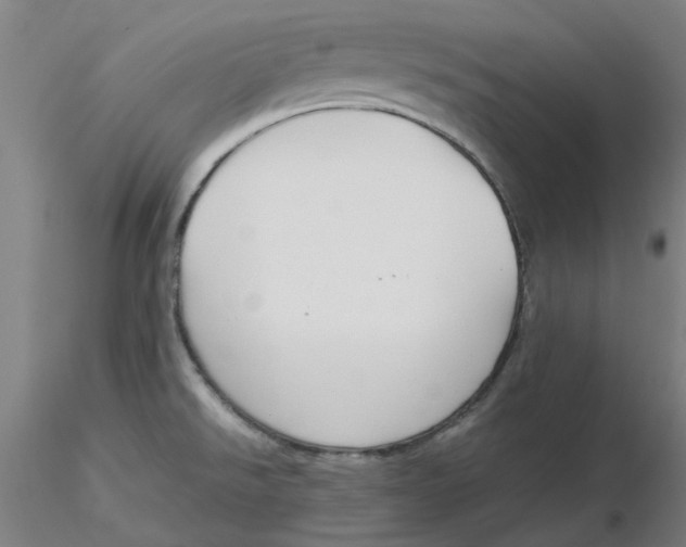 X0000116331526200912221409