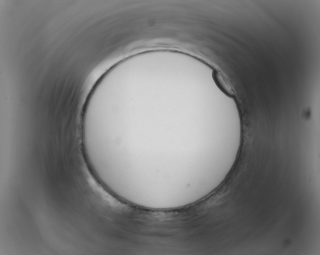 X0000116331527200912221409