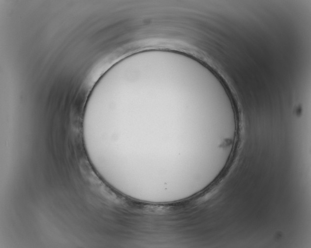 X0000116331529200912221409