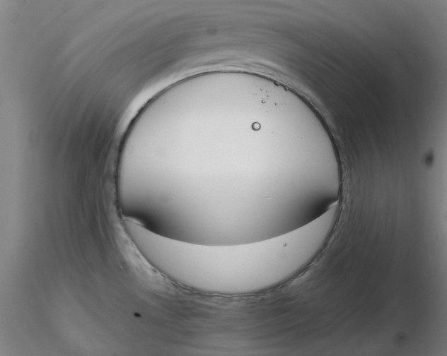 X0000116331530200912221409