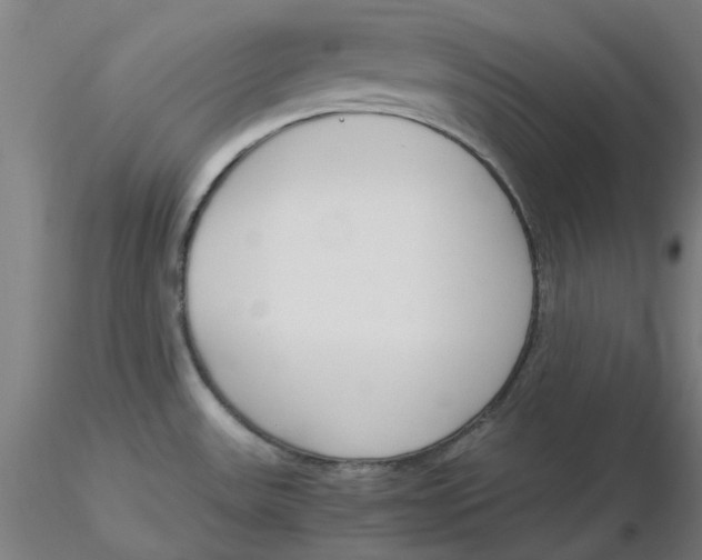 X0000116331531200912221409