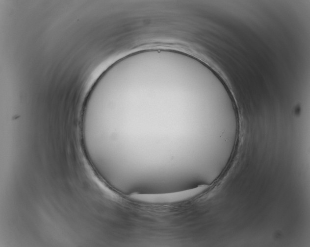 X0000116331533200912221409