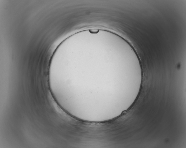 X0000116331534200912221409