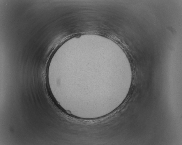 X0000116330002200912291602