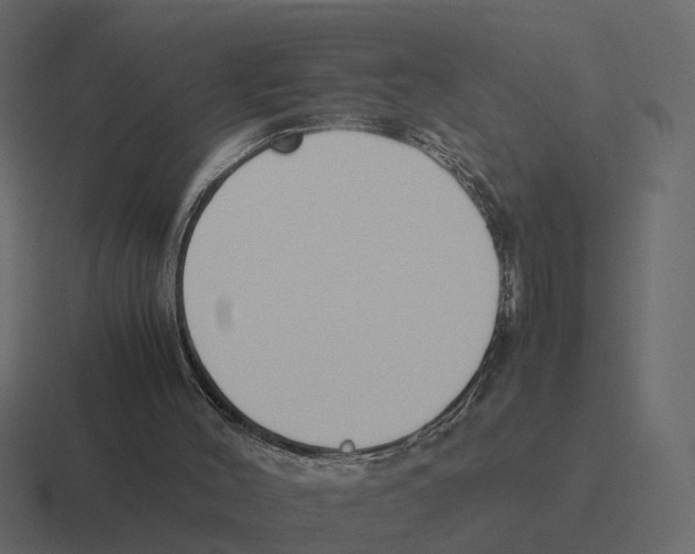 X0000116330004200912291602