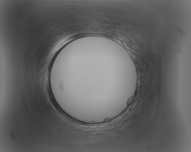 X0000116330005200912291602
