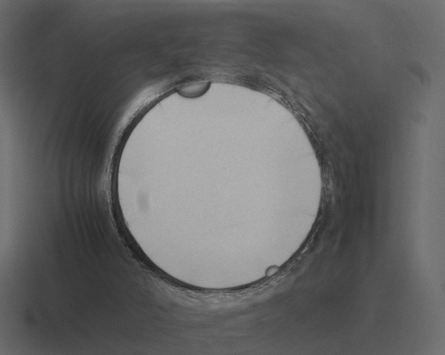 X0000116330006200912291602