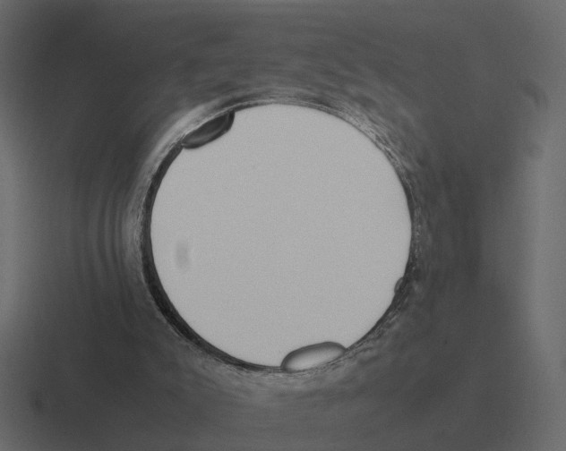X0000116330007200912291602