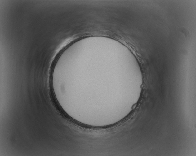 X0000116330008200912291601