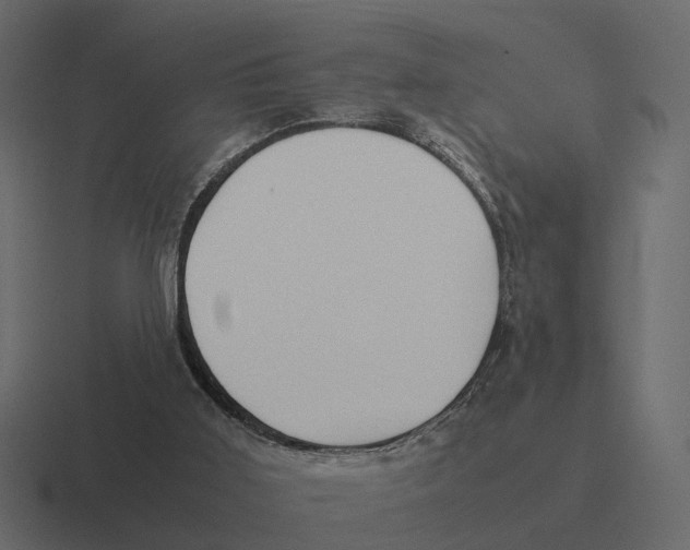 X0000116330011200912291601