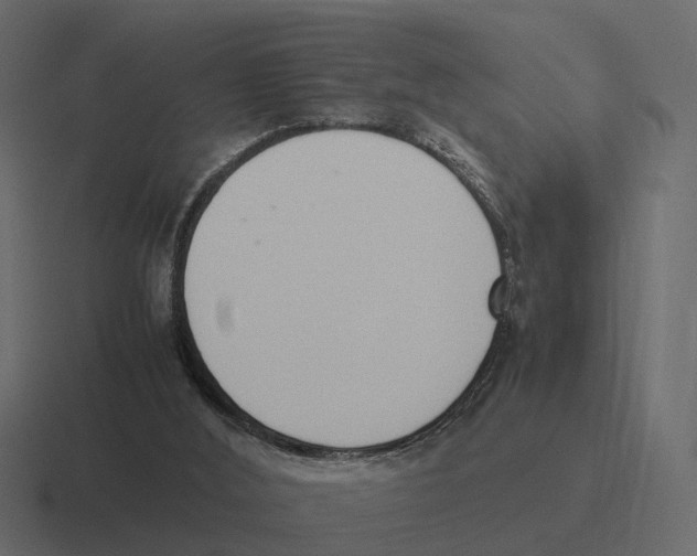 X0000116330012200912291601