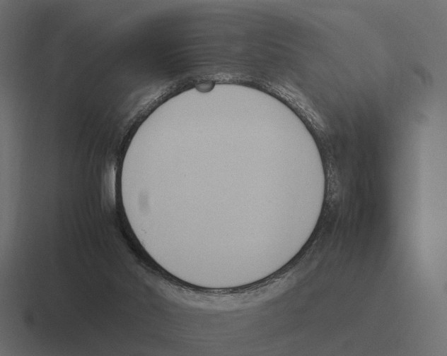 X0000116330014200912291601