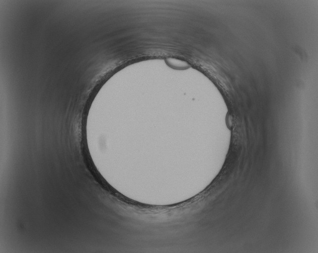 X0000116330015200912291601
