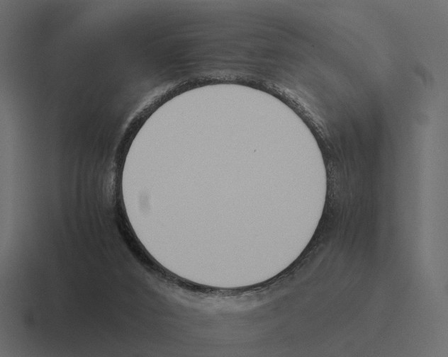 X0000116330016200912291601