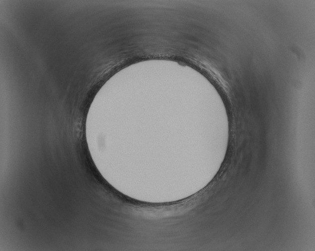 X0000116330017200912291601