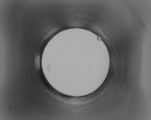 X0000116330020200912291601