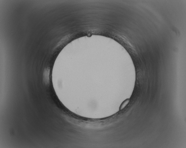 X0000116330024200912291601