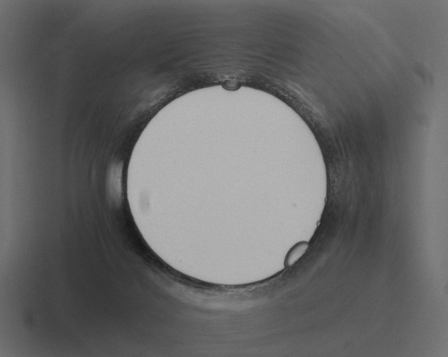 X0000116330028200912291601