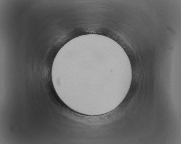 X0000116330031200912291601
