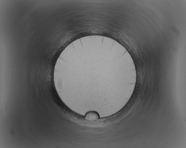 X0000116330032200912291601