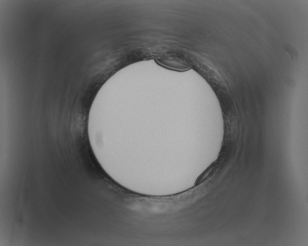 X0000116330033200912291601