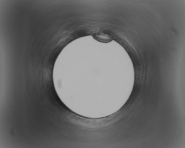 X0000116330035200912291601