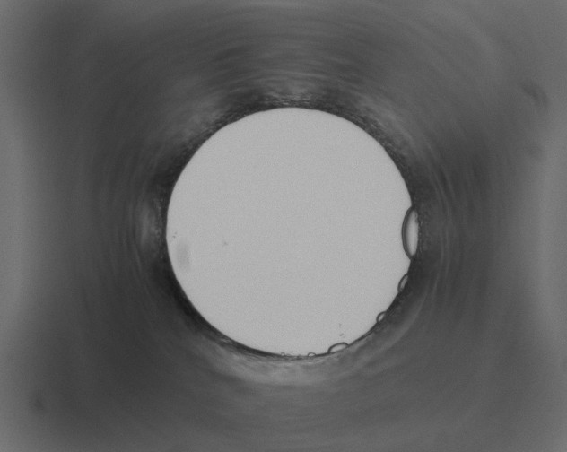 X0000116330040200912291601