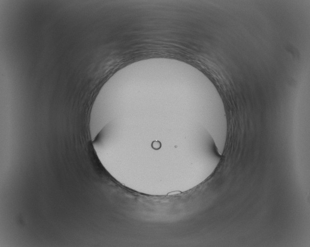 X0000116330041200912291601