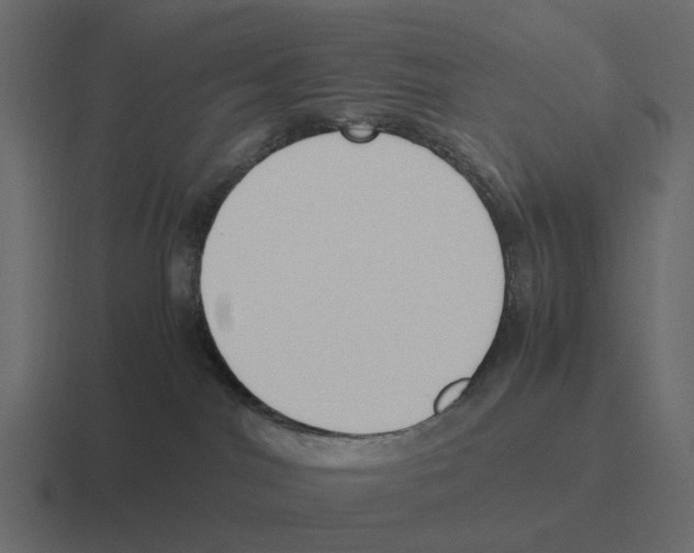 X0000116330044200912291601
