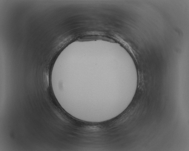 X0000116330061200912291601