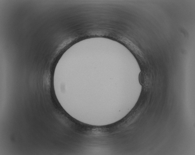X0000116330064200912291601