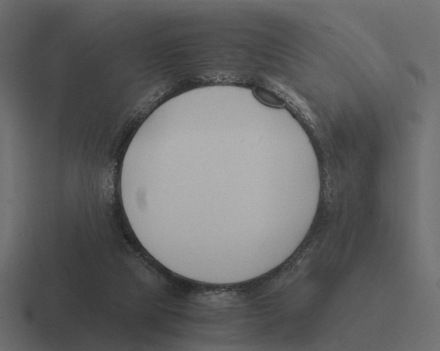 X0000116330065200912291601