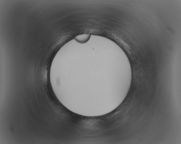 X0000116330067200912291601
