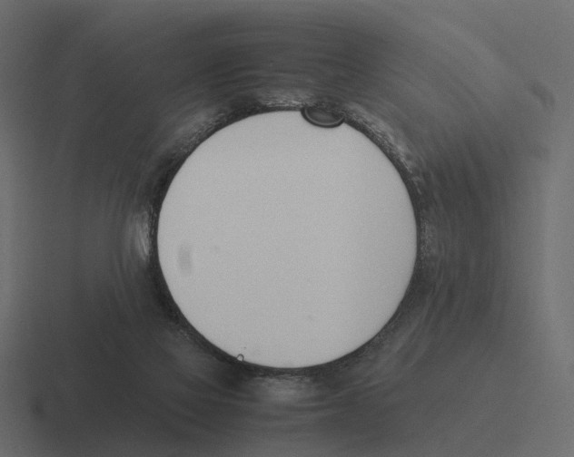 X0000116330069200912291601
