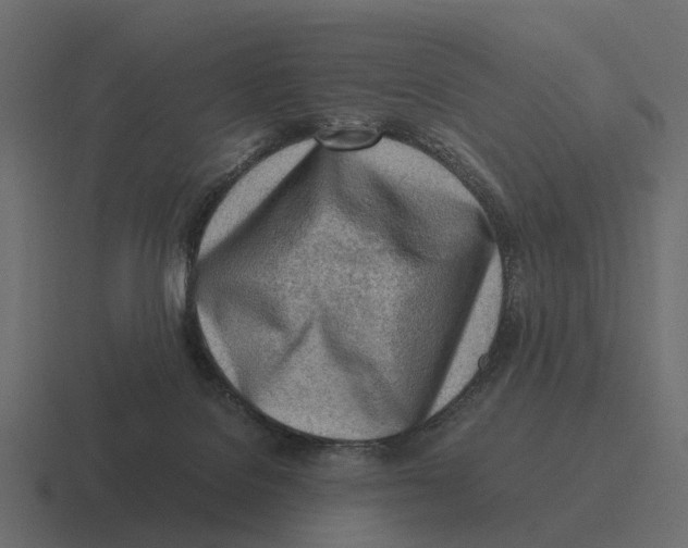 X0000116330076200912291601