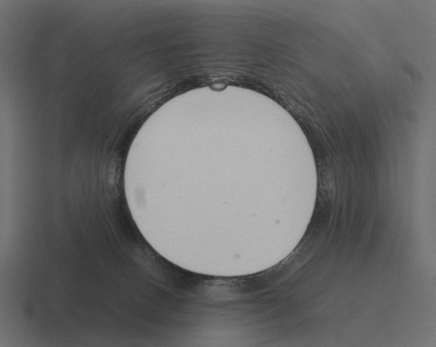 X0000116330082200912291601