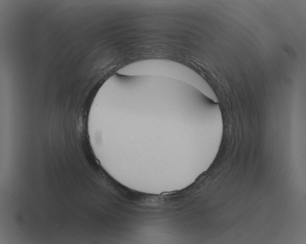 X0000116330084200912291601
