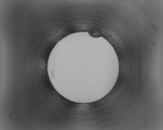 X0000116330087200912291601