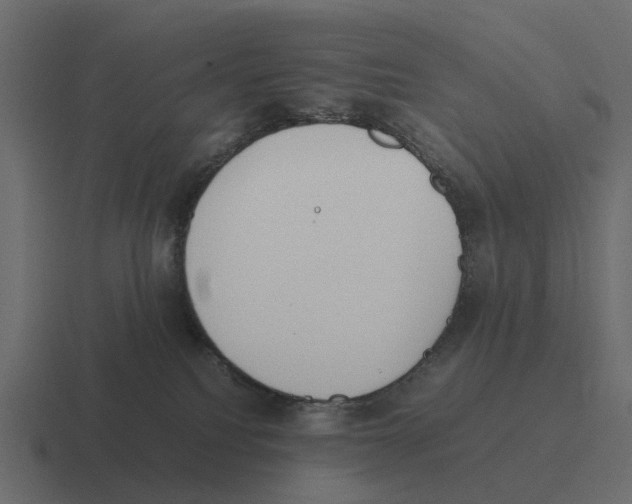 X0000116330088200912291601
