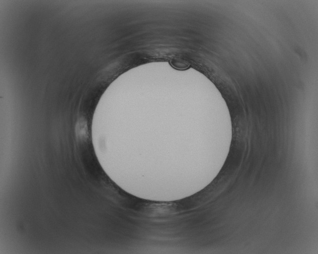 X0000116330089200912291601