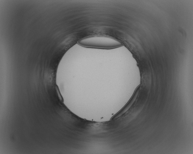 X0000116330092200912291601