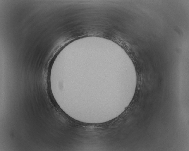 X0000116330098200912291600