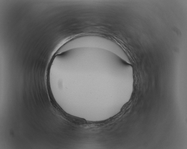 X0000116330100200912291600
