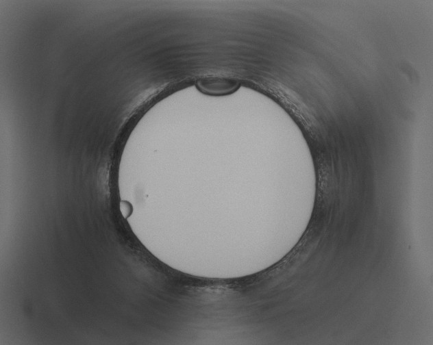 X0000116330112200912291600