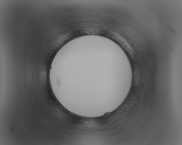 X0000116330113200912291600