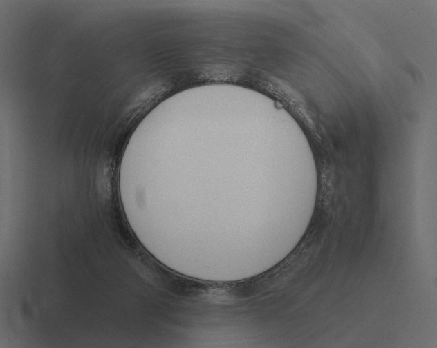 X0000116330114200912291600