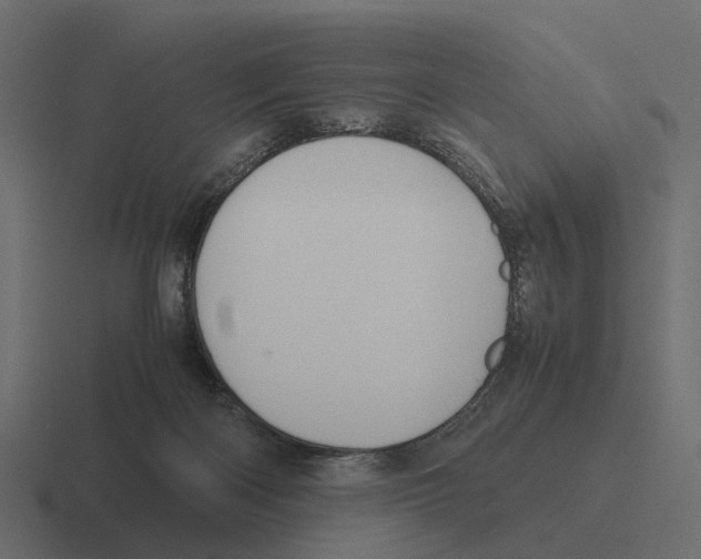 X0000116330122200912291600
