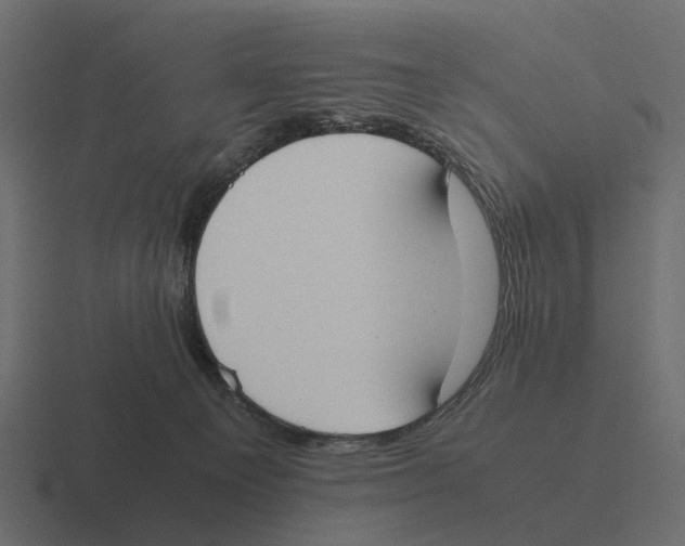 X0000116330129200912291600