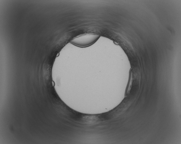 X0000116330133200912291600