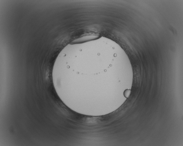 X0000116330134200912291600